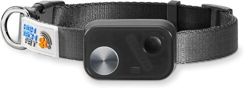 MS-5 Econ Series Automatic Pet Door Collar by High Tech Pet Brand - Value Priced Dependable Performance - Waterproof - Rugged - Battery Included - USA Support (Black) in Saudi Arabia