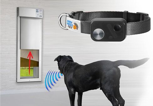 MS-5 Econ Series Automatic Pet Door Collar by High Tech Pet Brand - Value Priced Dependable Performance - Waterproof - Rugged - Battery Included - USA Support (Black) in Saudi Arabia