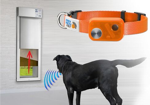 MS-5 Econ Series Automatic Pet Door Collar by High Tech Pet Brand - Value Priced Dependable Performance - Waterproof - Rugged - Battery Included - USA Support (Black) in Saudi Arabia