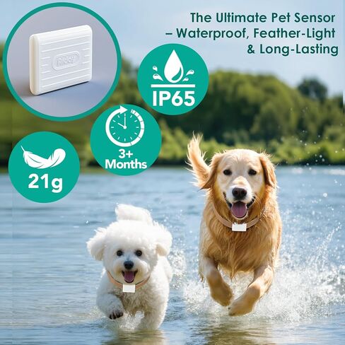 باب آلي للكلاب للجدار مزود بأطواق استشعار، باب ذكي كبير للحيوانات الأليفة للجدار، جدولة مخصصة ومضاد للقرص، يناسب الكلاب الكبيرة التي يصل وزنها إلى 100 رطل (طول) in Kuwait