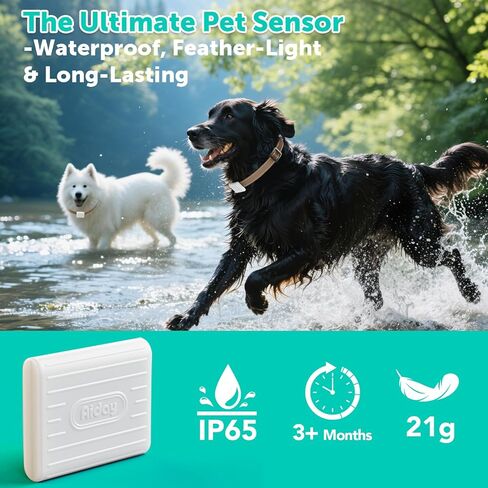 باب زجاجي منزلق أوتوماتيكي للكلاب مع مستشعر للياقة، باب هزلي كهربائي كبير جدًا لأبواب زجاجية منزلقة، ارتفاع منزلق قابل للتعديل من 76 بوصة إلى 80-11/16 بوصة، مضاد للقرص، يناسب الكلاب الكبيرة جدًا حتى 220 رطلاً (XL) in Kuwait