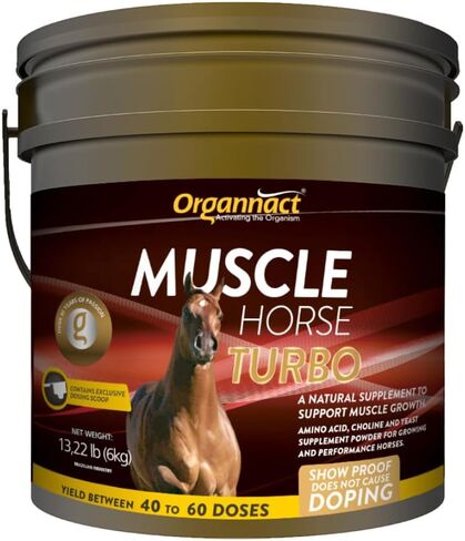 Organnact Muscle Horse Turbo - Equine Muscle Mass Gain Supplement - Contains Amino Acids, BCAAs, Prebiotics & Probiotics - Non-Doping, Green Apple Flavor - for Growing and Adult Horses (13.2 lBS) in Saudi Arabia