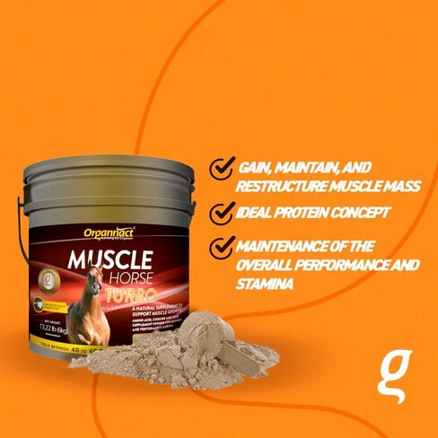 Organnact Muscle Horse Turbo - Equine Muscle Mass Gain Supplement - Contains Amino Acids, BCAAs, Prebiotics & Probiotics - Non-Doping, Green Apple Flavor - for Growing and Adult Horses (13.2 lBS) in Saudi Arabia