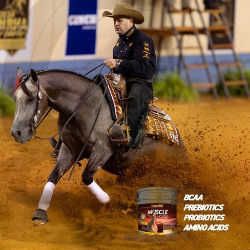 Organnact Muscle Horse Turbo - Equine Muscle Mass Gain Supplement - Contains Amino Acids, BCAAs, Prebiotics & Probiotics - Non-Doping, Green Apple Flavor - for Growing and Adult Horses (13.2 lBS) in Saudi Arabia