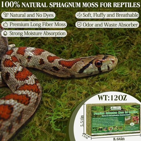 ZeeDix 8 oz Sphagnum Moss for Reptiles,12 qt Natural Hermit Crabs Moss Reptile Bedding Terrarium Substrate for Leopard Gecko Tortoise Lizard Ball Python Snakes Hermit Crab Habitat in Kuwait