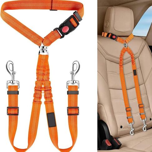 Pet Rope Safety Leash, pet seat Belt, Circular Ring, Stretchable, Elastic, Reflective Dog Chain, Dog Leash one Tow Two for Small, Medium Cats and Dogs, Black in Saudi Arabia
