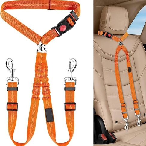 Pet Rope Safety Leash, pet seat Belt, Circular Ring, Stretchable, Elastic, Reflective Dog Chain, Dog Leash one Tow Two for Small, Medium Cats and Dogs, Black in Saudi Arabia