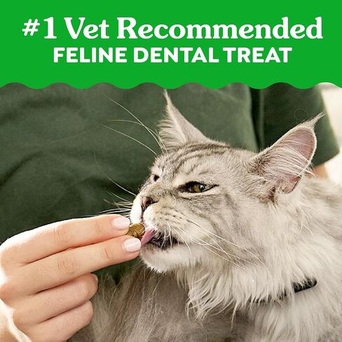 Greenies Feline Veterinarian-Recommended Adult Natural Dental Cat Treats, Savory Salmon Flavor, 9.75 oz. Tub in Kuwait