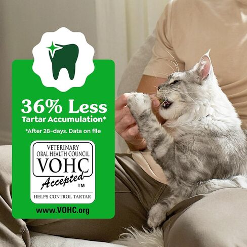 Greenies Feline Veterinarian-Recommended Adult Natural Dental Cat Treats, Savory Salmon Flavor, 9.75 oz. Tub in Kuwait