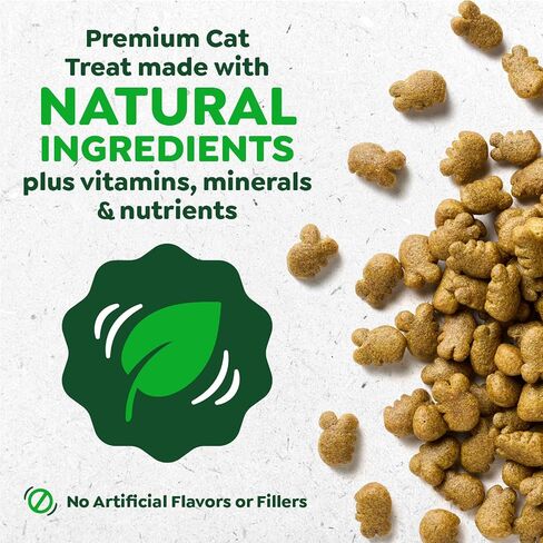 Greenies Feline Veterinarian-Recommended Adult Natural Dental Cat Treats, Savory Salmon Flavor, 9.75 oz. Tub in Kuwait