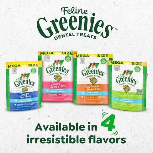 Greenies Feline Veterinarian-Recommended Adult Natural Dental Cat Treats, Savory Salmon Flavor, 9.75 oz. Tub in Kuwait
