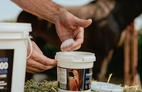 EQUI - CARE Balanced Shampoo. Specially formulated to Deeply Cleanse Your Horse's Coat Without Stripping Natural Oils, Leaving The Skin Healthy and The Coat (6.6 LB) in Saudi Arabia