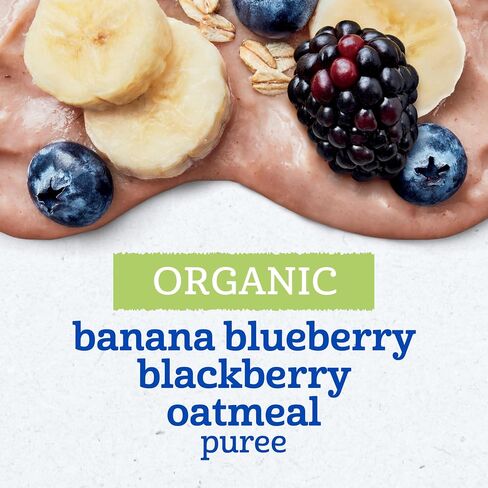 Gerber Organic Banana Blueberry Blackberry Oatmeal, 3.5 Oz, 12 Pack | Stage 2 organic puree pouch; banana blueberry blackberry oatmeal; 12 x 3.5 oz in Saudi Arabia