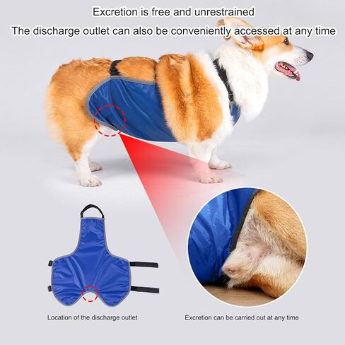 عملي لمكافحة الأوساخ الكلب البطن حماية الملابس نفاذية Bellyband القماش للذكور الكلاب غطاء من البوليستر مكافحة العلامات العصابات in Saudi Arabia