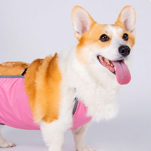 عملي لمكافحة الأوساخ الكلب البطن حماية الملابس نفاذية Bellyband القماش للذكور الكلاب غطاء من البوليستر مكافحة العلامات العصابات in Saudi Arabia