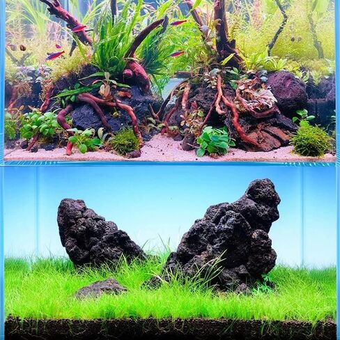 Black Lava Rocks for Aquarium Fire Pit Succulent Planters Bonsai Landscaping Garden Décor 5lb Lava Stone for Fish and Plants(3pcs 4-6 inches) in Saudi Arabia