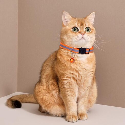 10 Pack Reflective Cat Collars with Bells, Cat Collar, Safety Buckle Cat Collar, Pet Supplies, Stuff, Accessories in Saudi Arabia