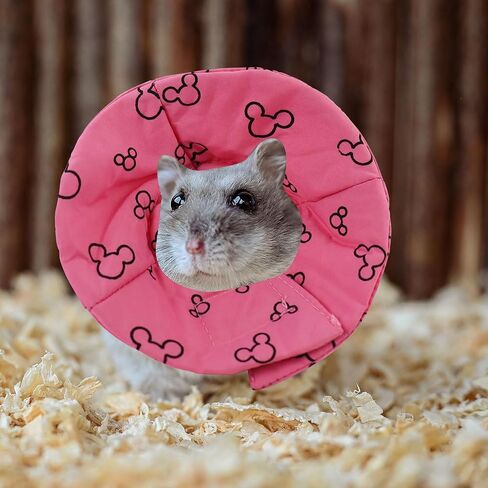 Andiker Hamster Collar, Adjustable Bird Collar Small Pet Protection Cone After Surgery to Prevent Licking for Hamster, Rabbit, Guinea Pig Small Animals (Pink, S) in Saudi Arabia