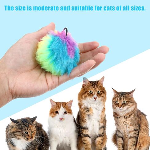 قطعتان من ألعاب القطط التفاعلية للقطط الداخلية، لعب مستقل للتعليق على باب القطط، لعبة كاتربيلر والطيور الطائرة لإطار الباب، لعبة تعليق تلقائية للحيوانات الأليفة من أجل مطاردة الحيوانات الأليفة ذاتية اللعب للبالغين الذين يشعرون بالملل في الأماكن المغلقة in Kuwait