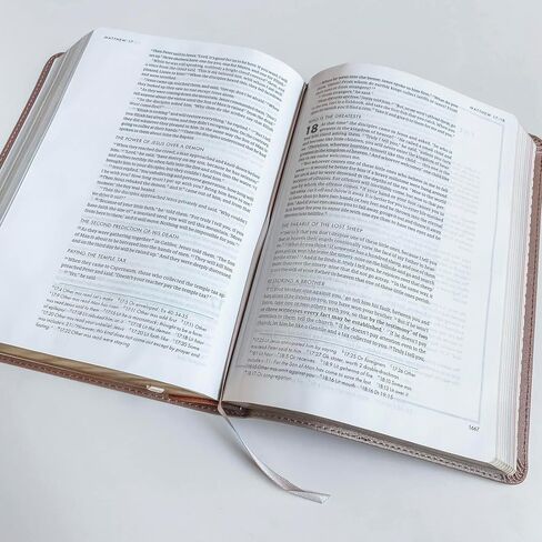 JOY CREATIVE FREEDOM - CSB She Reads Truth Champagne Gold Bible | Personalized with Name | Christ Has Set Us Free | Gift for Birthday, Graduation, Baptism, Wedding or Anniversary in Saudi Arabia