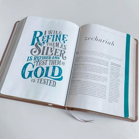 JOY CREATIVE FREEDOM - CSB She Reads Truth Champagne Gold Bible | Personalized with Name | Christ Has Set Us Free | Gift for Birthday, Graduation, Baptism, Wedding or Anniversary in Saudi Arabia