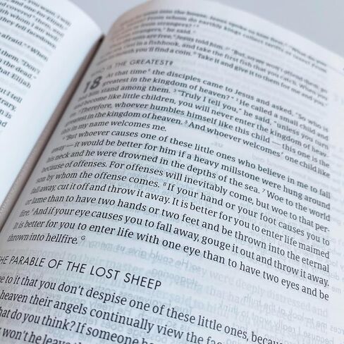 JOY CREATIVE FREEDOM - CSB She Reads Truth Champagne Gold Bible | Personalized with Name | Christ Has Set Us Free | Gift for Birthday, Graduation, Baptism, Wedding or Anniversary in Saudi Arabia