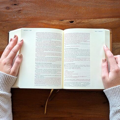 طباعة كبيرة للكتاب المقدس من Farm and Posh NIV Journal (رجل الإيمان الأسد) in Saudi Arabia