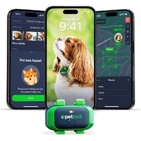 Cat GPS Tracker – Smallest Waterproof Pet Tracking Device with App, Real-Time Location, Smart Alerts & Geo-Fence, Long-Life Battery, Collar-Compatible – iOS & Android (Subscription Required) in Saudi Arabia