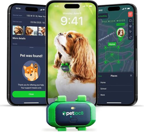 جهاز تعقب GPS من Cat - أصغر جهاز تتبع للحيوانات الأليفة مقاوم للماء مع تطبيق، موقع في الوقت الفعلي، تنبيهات ذكية وسياج جغرافي، بطارية طويلة العمر، متوافق مع الياقة - iOS وAndroid (يتطلب الاشتراك) in Saudi Arabia