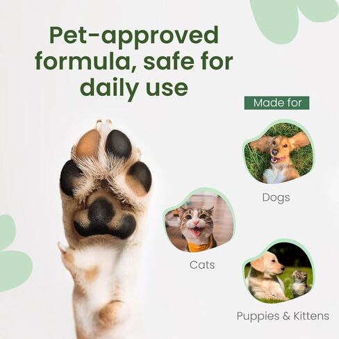 Best Shot Scentament Spa Refreshing Body & Facial Wash for Dogs & Cats, Waterless Dog Wash & Tear Stain Remover, Pet Gentle Face Wash for Sensitive Skin, Sugar Cookie Scent, 16 fl oz in Kuwait