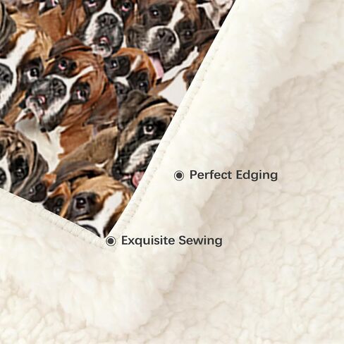 BlessLiving Boston Terrier بطانية للكلاب، 50 × 60 بوصة رمي الصوف القطيفة - بطانيات الكلاب الفرنسية المريحة فائقة النعومة للفتيات والأطفال ومحبي الحيوانات الأليفة، هدية جرو لطيفة مع قلب أحمر، حيوان أسود أبيض in Saudi Arabia