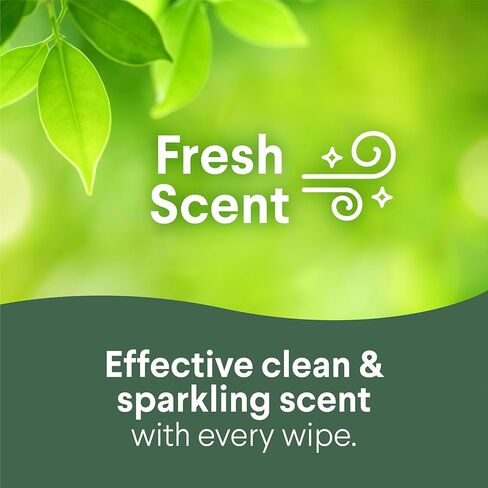 كلوروكس مناديل تنظيف متعددة الاستخدام , 35 مناديل in Kuwait