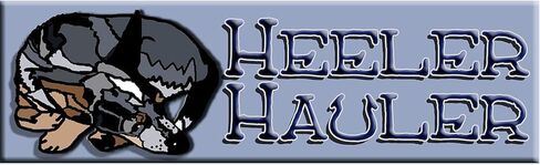 CafePress Heeler Hauler Blue Sticker (Bumper) 10"x3" Rectangle Vinyl Bumper Sticker Car Decal in Saudi Arabia