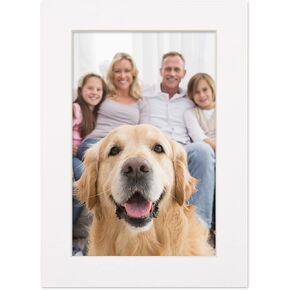 سجادة مقاس 11 × 14 لإطار مقاس 12 × 18 - لوحة حصيرة مسبقة القطع خالية من الأحماض باللون الأبيض مقاس 11 × 14 صورة غير لامعة مصنوعة لتناسب إطار صورة مقاس 12 × 18، لوحة حصيرة ممتازة للصور العائلية، مجموعات العرض، الفن، تأطير الصور، حزمة من 1 حصيرة in Kuwait