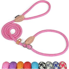 Grand Line Slip Lead Dog Leash, 5FT Reflective Slip Rope, Puppy Training Walking Controlling Lead, Slip Collar Pet Leash for Small, Medium, Large Dogs (Blue, Small-1/4in x 5ft)
