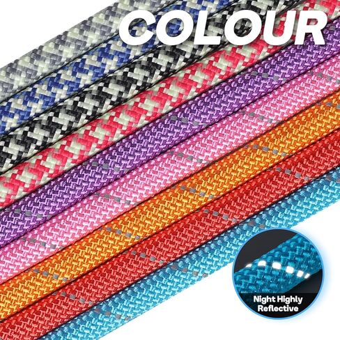 Grand Line Slip Lead Dog Leash, 5FT Reflective Slip Rope, Puppy Training Walking Controlling Lead, Slip Collar Pet Leash for Small, Medium, Large Dogs (Blue, Small-1/4in x 5ft) in Saudi Arabia