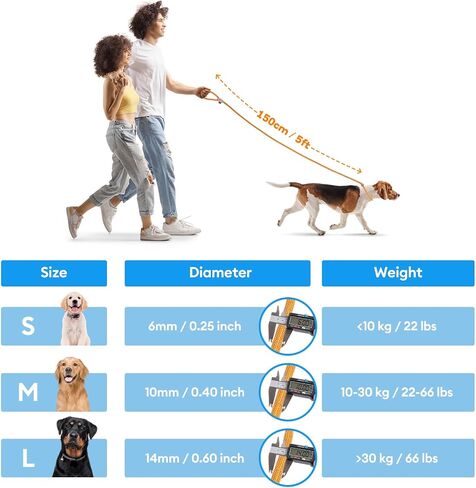 Grand Line Slip Lead Dog Leash, 5FT Reflective Slip Rope, Puppy Training Walking Controlling Lead, Slip Collar Pet Leash for Small, Medium, Large Dogs (Blue, Small-1/4in x 5ft) in Saudi Arabia