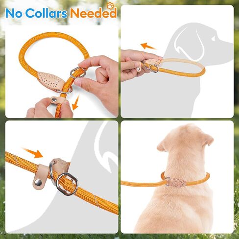 Grand Line Slip Lead Dog Leash, 5FT Reflective Slip Rope, Puppy Training Walking Controlling Lead, Slip Collar Pet Leash for Small, Medium, Large Dogs (Blue, Small-1/4in x 5ft) in Saudi Arabia