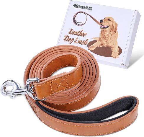 Grand Line Slip Lead Dog Leash, 5FT Reflective Slip Rope, Puppy Training Walking Controlling Lead, Slip Collar Pet Leash for Small, Medium, Large Dogs (Blue, Small-1/4in x 5ft) in Saudi Arabia