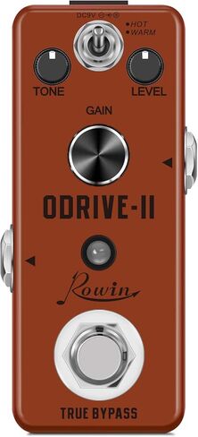 Rowin Looper Effects Pedal Unlimited Overdubs 10 Minutes of Looping, 1/2 time, and Reverse in Saudi Arabia
