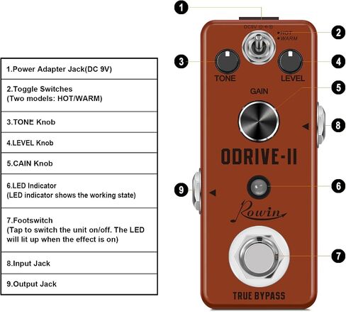 Rowin Looper Effects Pedal Unlimited Overdubs 10 Minutes of Looping, 1/2 time, and Reverse in Saudi Arabia