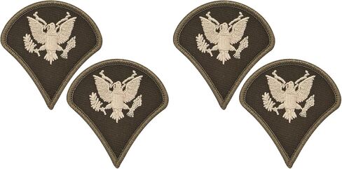 Army AGSU Specialist E-4 Cloth Rank Female in Saudi Arabia