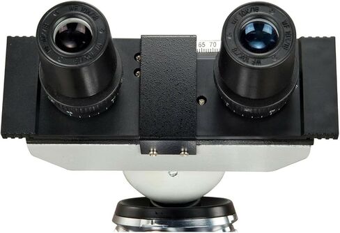 OMAX 40-2500X LED Digital Binocular Compound Microscope USB Camera + Blank Slides + Covers + Lens Paper in Kuwait