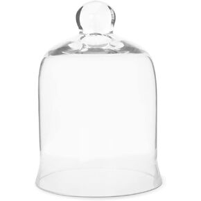 Glass Cloche Bell Jar - Plant Terrarium - Centerpiece Dome Display (7.5" x 5")