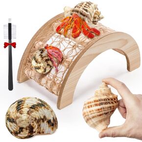 Hermit Crab Climbing Bridge Toy, 2 Medium Sized Hermit Crab Shells, Hermit Crab Accessories, Great for Most Aquariums and Tanks, Provides Your Pet with Plenty of Climbing Fun and Hiding Place