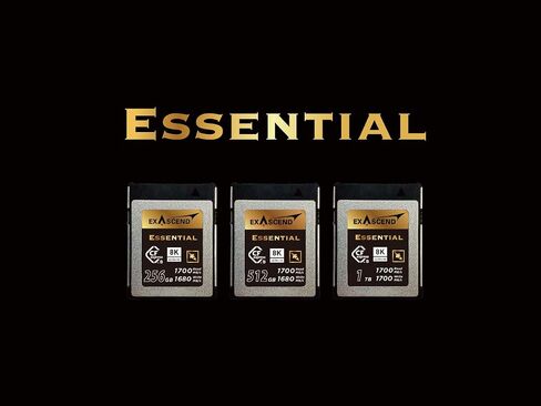 بطاقة Exascend 256G Essential CFexpress من النوع B، قراءة تصل إلى 1800 ميجابايت/ثانية، متوافقة مع كاميرات Canon وNikon وPanasonic وغيرها. in Kuwait
