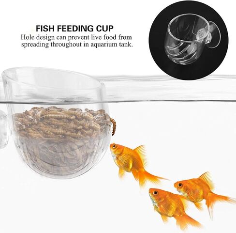 Aquarium Cone Red Worm Feeder, Transparent Acrylic Fish Tank Brine Shrimp Feeder Red Worm Feeding Container Holder with Suction Cups in Saudi Arabia
