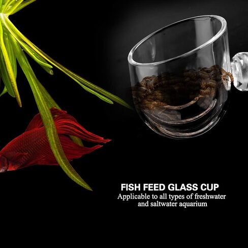 Aquarium Cone Red Worm Feeder, Transparent Acrylic Fish Tank Brine Shrimp Feeder Red Worm Feeding Container Holder with Suction Cups in Saudi Arabia