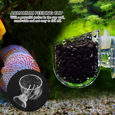 Aquarium Cone Red Worm Feeder, Transparent Acrylic Fish Tank Brine Shrimp Feeder Red Worm Feeding Container Holder with Suction Cups in Saudi Arabia