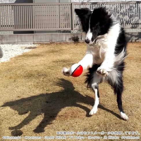 Dog Cat Super Ball Toy Soft Durable Fetch in Saudi Arabia